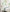 files/Fern-Stripe-02.jpg