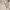 products/Product_Page_Main_Image_1400x1400_Flat_Sheet_Natural_041c25b5-51f5-4dde-8fae-9fceb440a94f.jpg